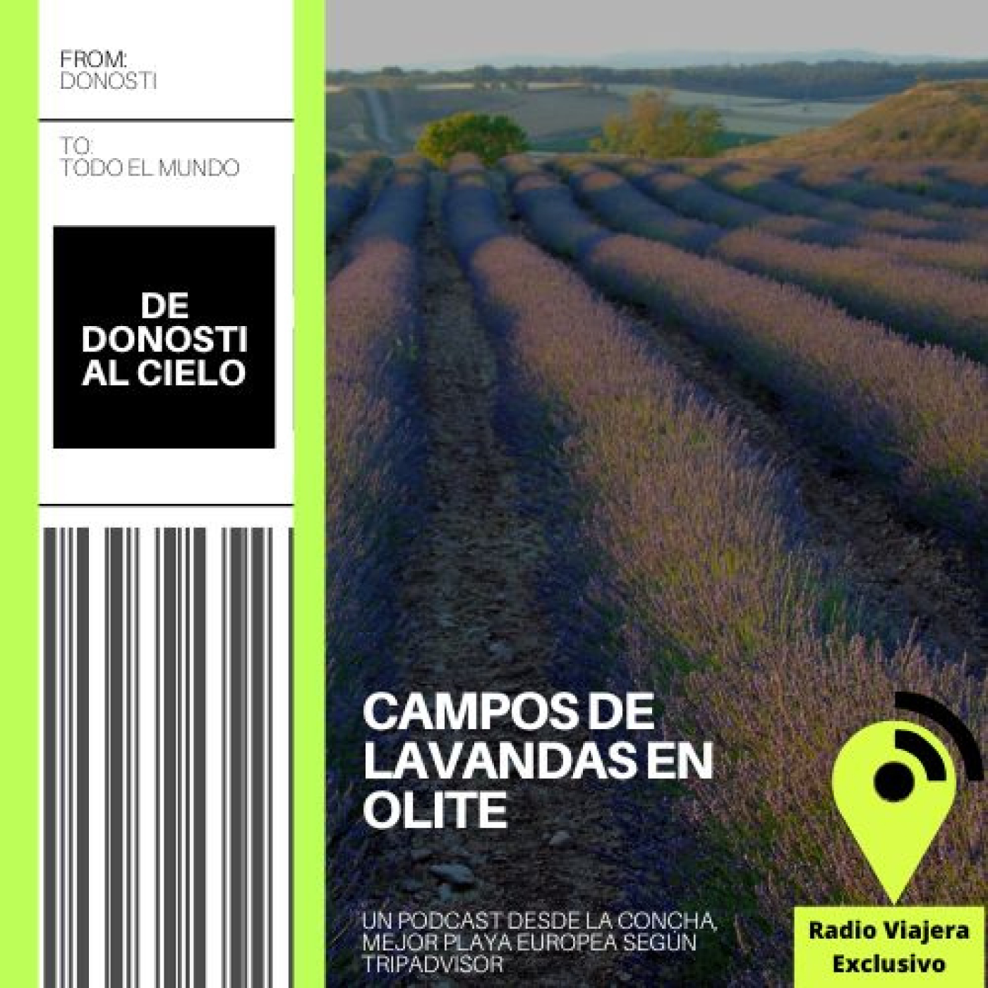 Campos de lavandas en Olite