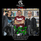 embed image