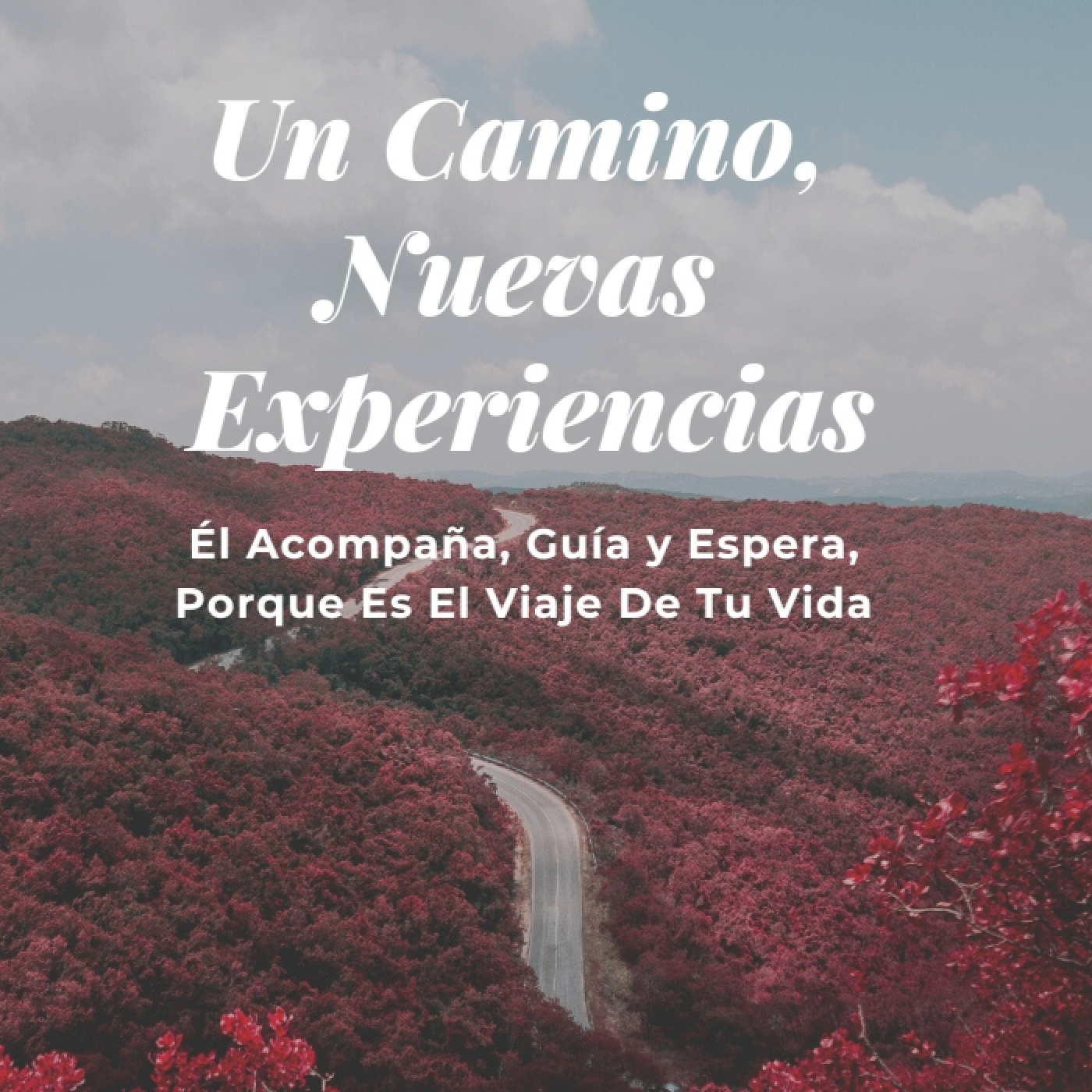 05. La Lucha del Corazón