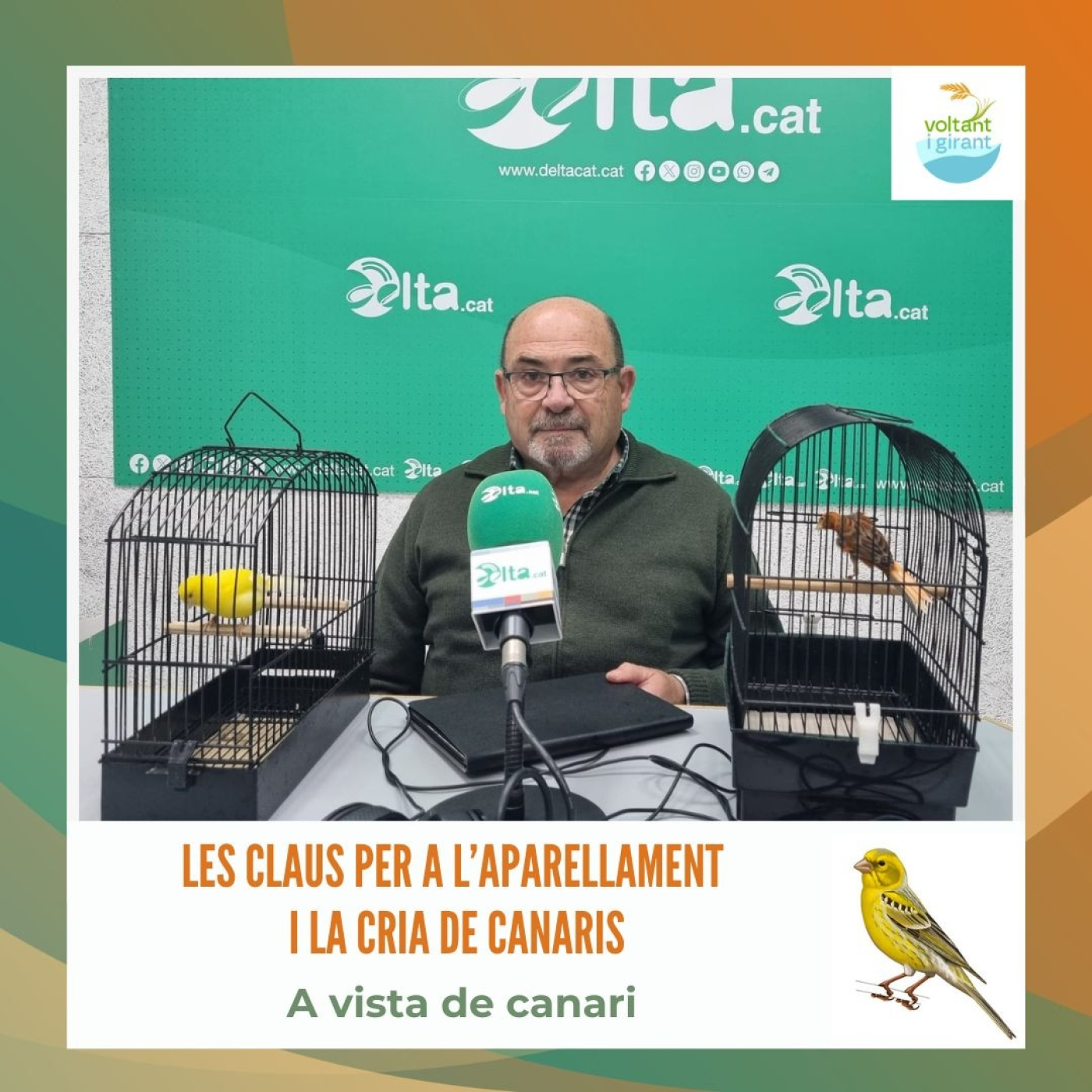 Les claus per a l’aparellament i la cria de canaris episode artwork