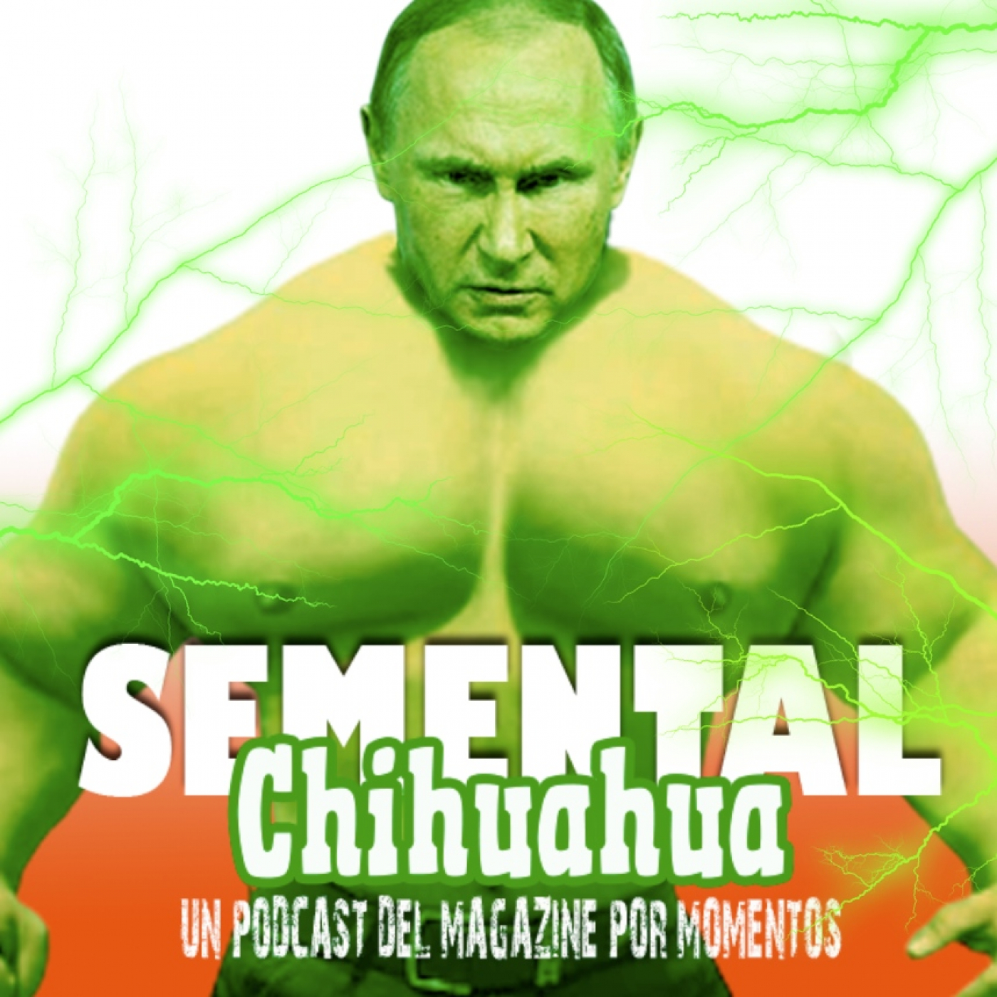 Semental Chihuahua