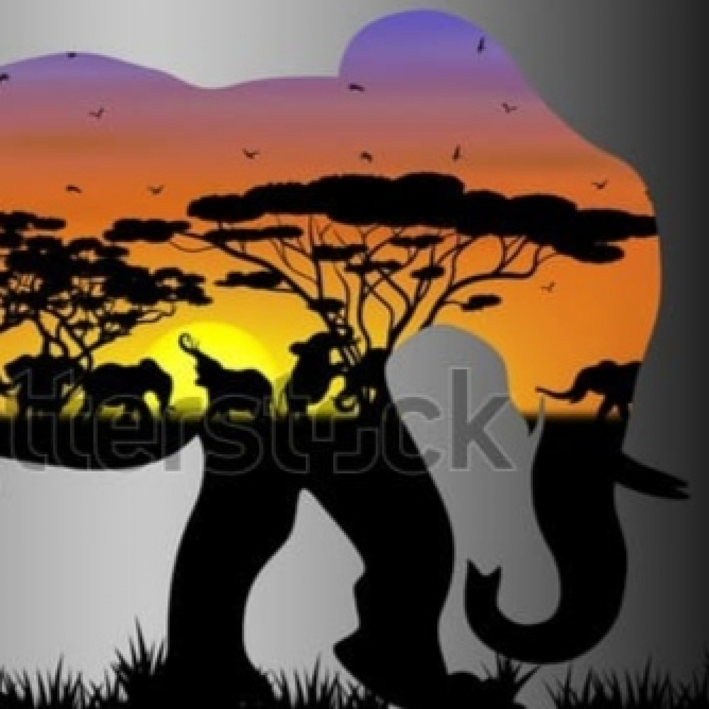 Progressive Bulls (Radio Online): Animals episode artwork