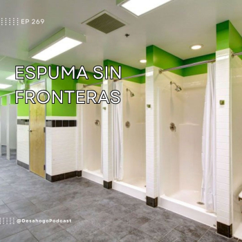 embed image