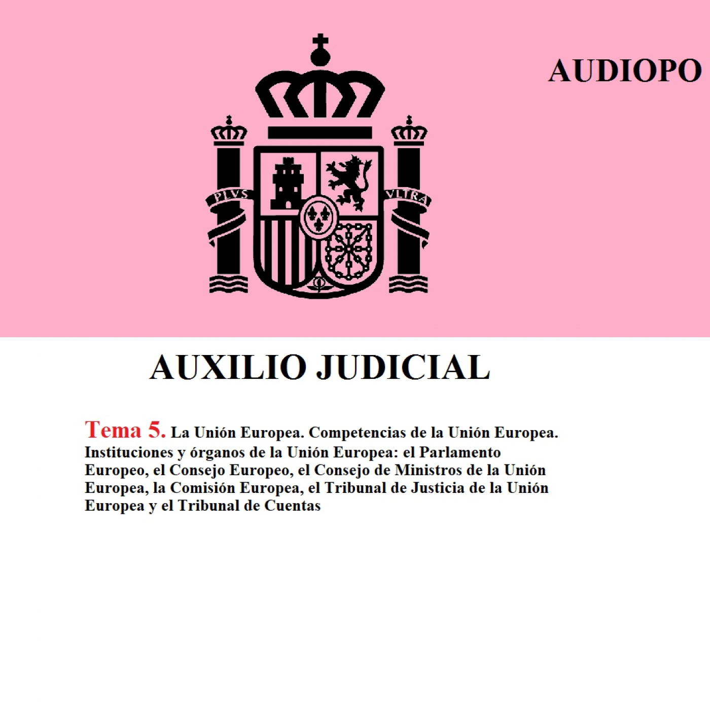 AUDIOPO - Audiotemarios y audioleyes -