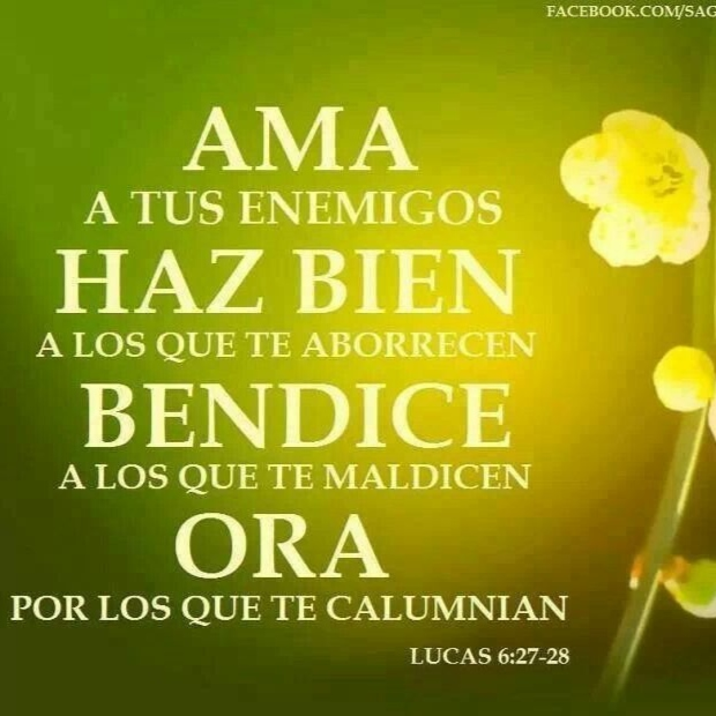 HOMILIAS - P.Luis Miguel Castillo