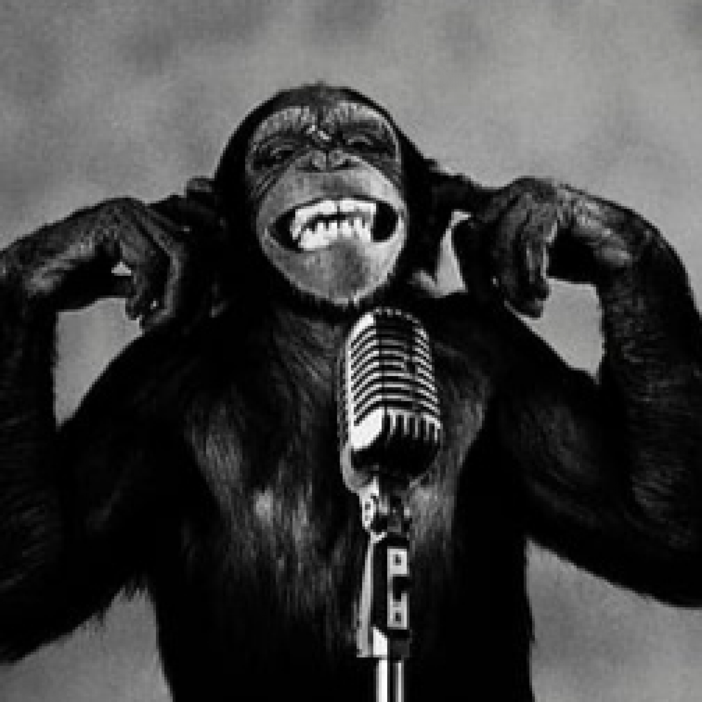Podcast Linterna de Diogenes