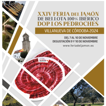 embed image