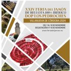 embed image