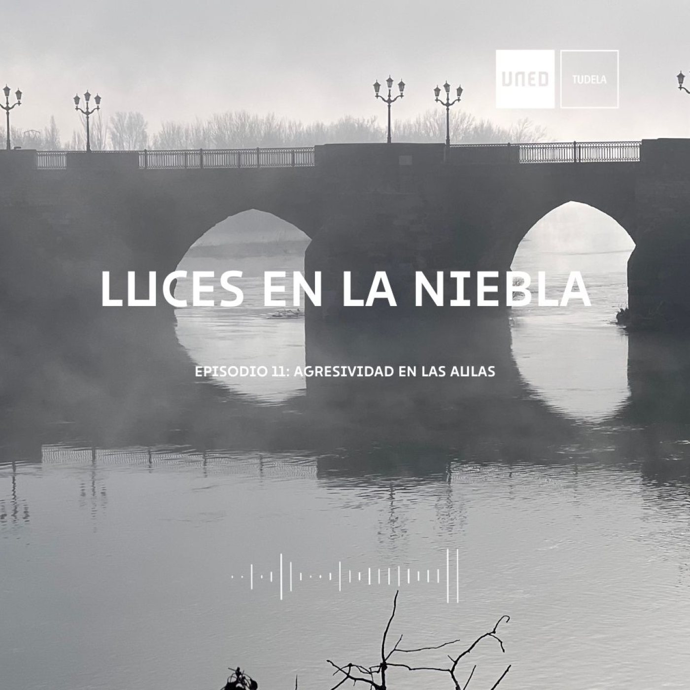 Luces en la niebla