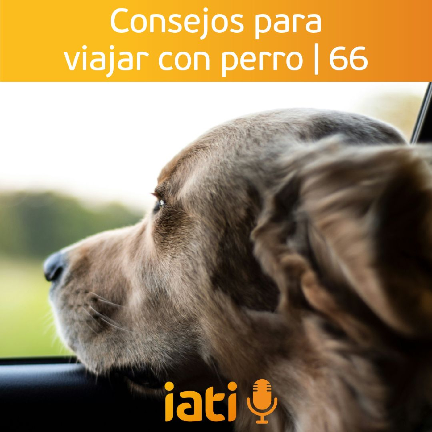 La aventura de viajar