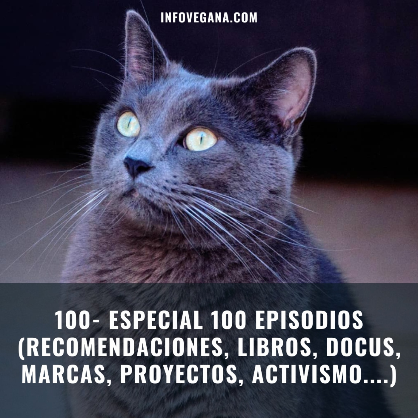 Infovegana, podcast de veganismo y sostenibilidad