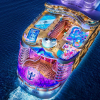 embed image