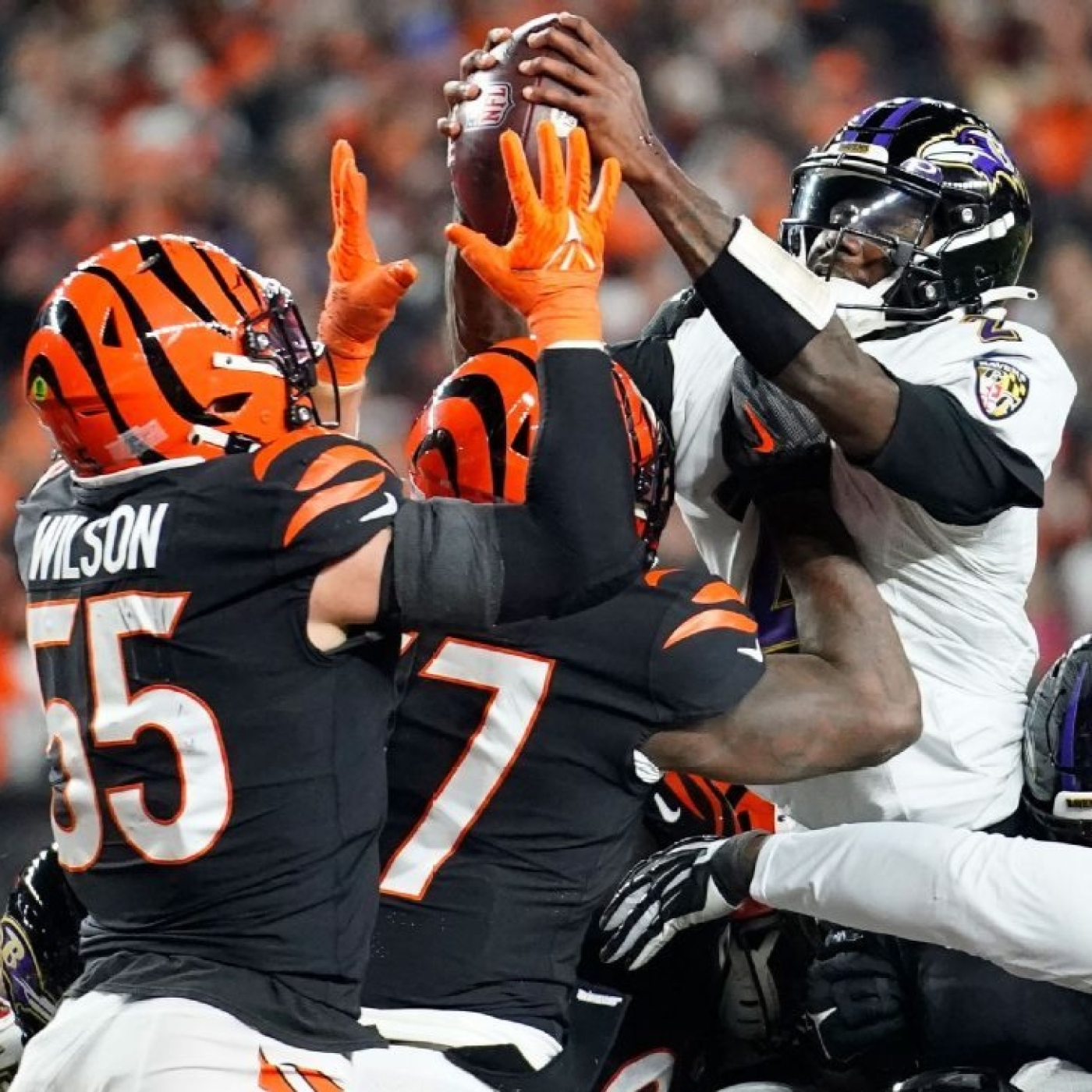 La Jungla Hispana - Bengals.es