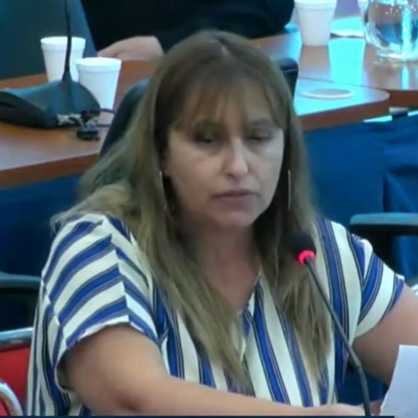 Glenda Gómez (Presidente en Asociación Civil Inquilinos Argentinos Por Un techo Digno) La Usina