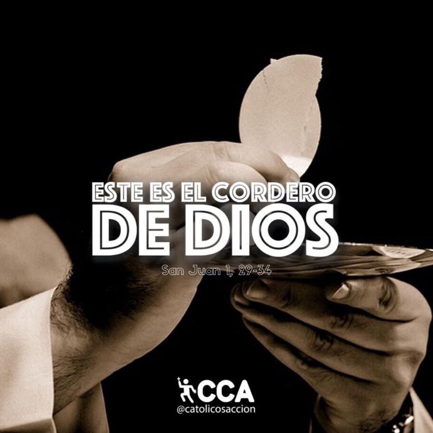 Buceando el Evangelio