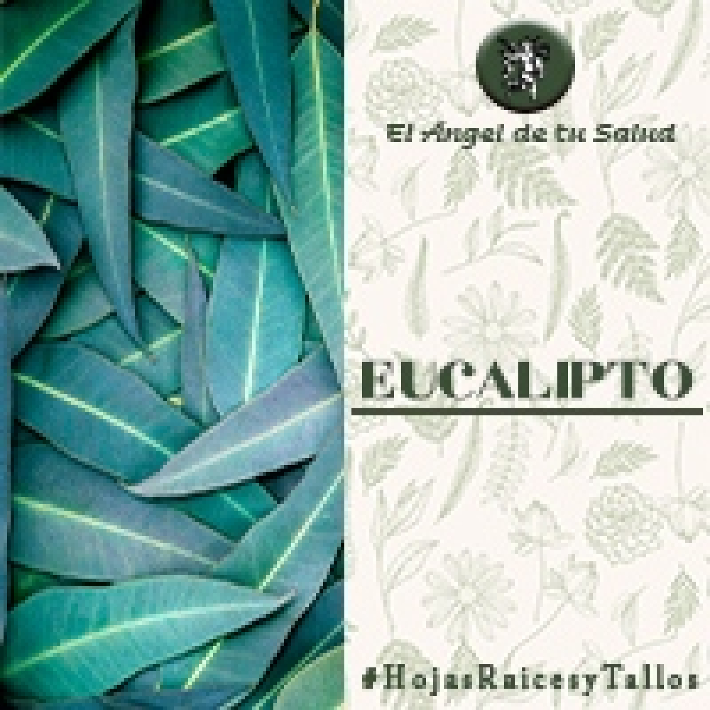 El Ángel de tu Salud - Eucalipto**