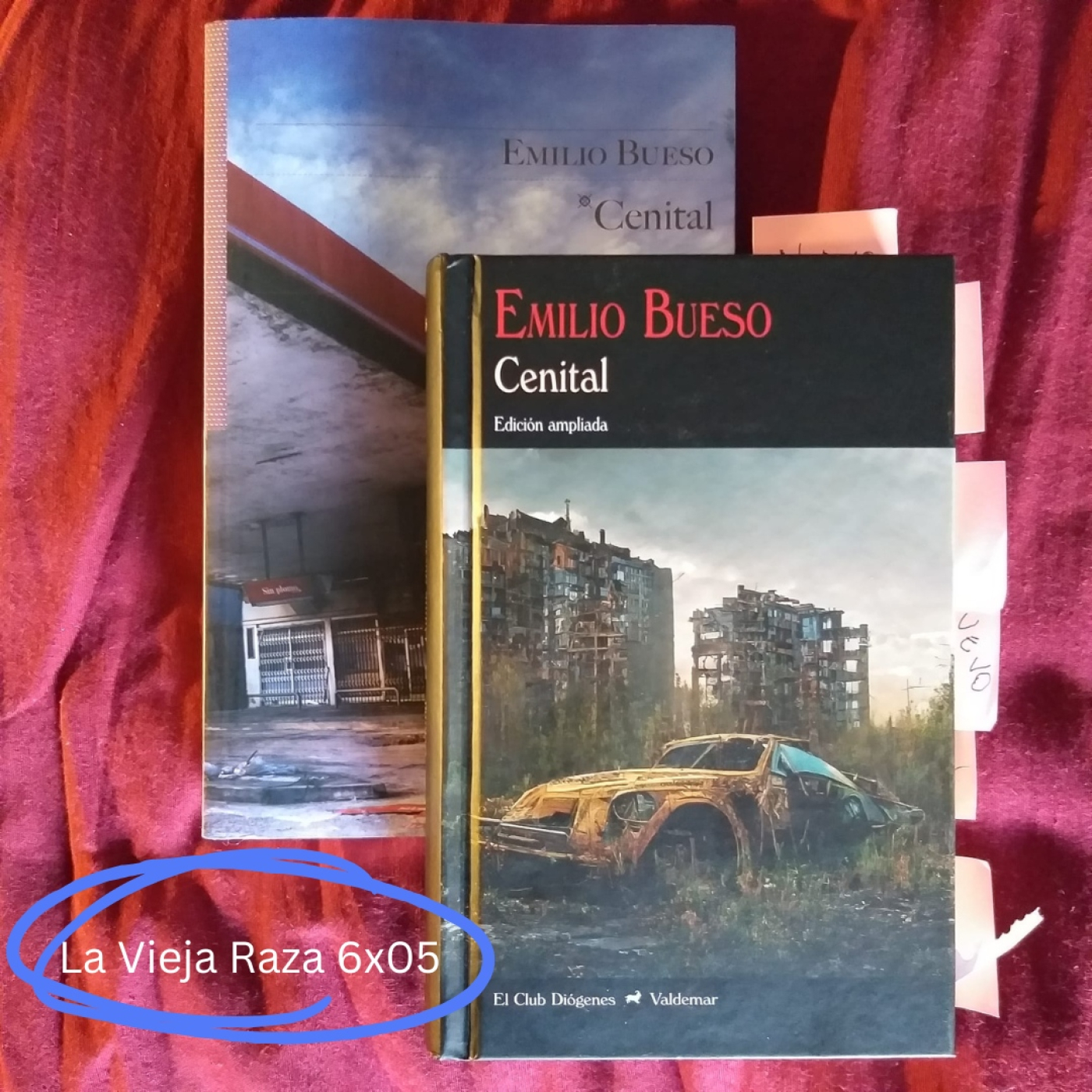 La Vieja Raza
