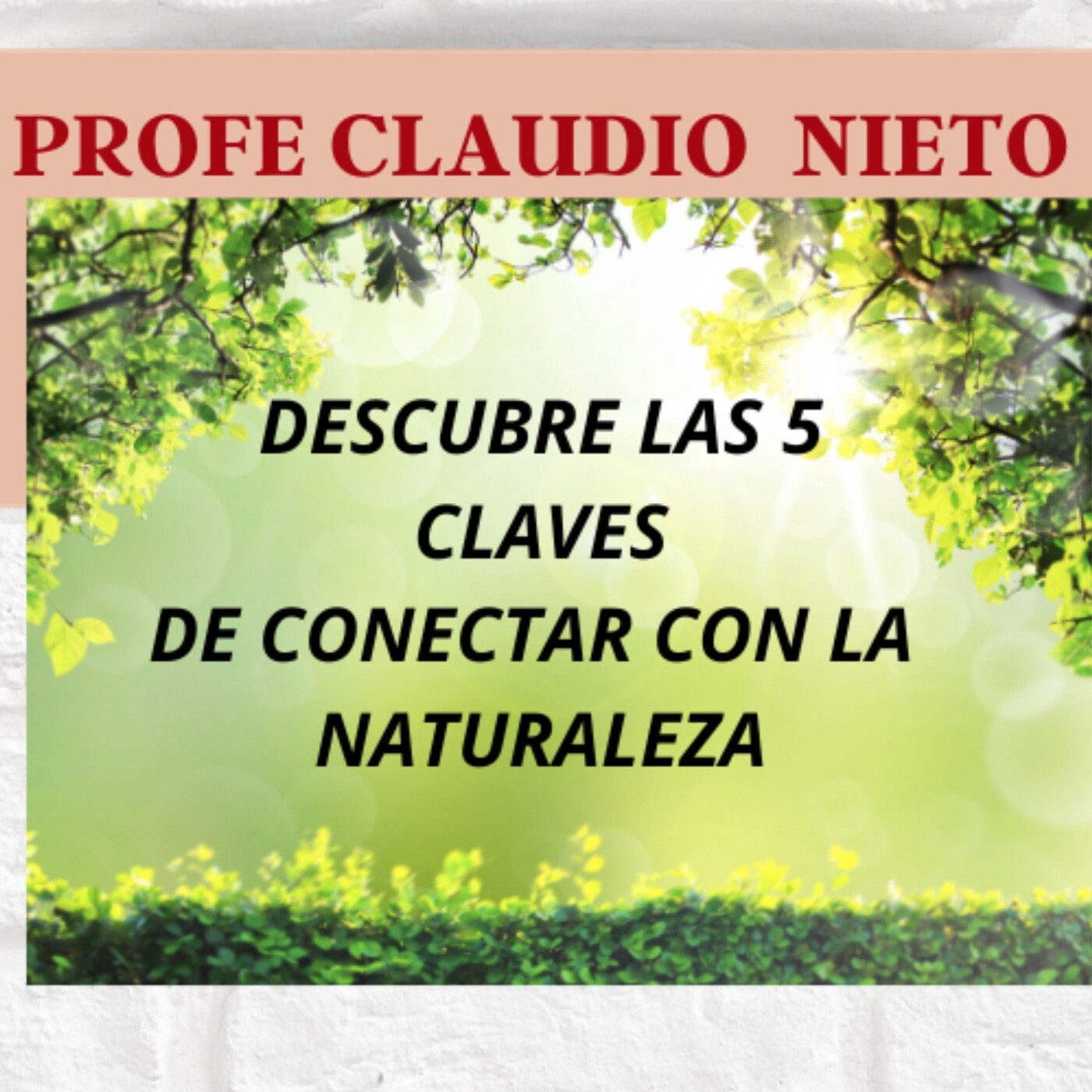 133. ¿Cuáles son los beneficios de la naturaleza para el ser humano?
