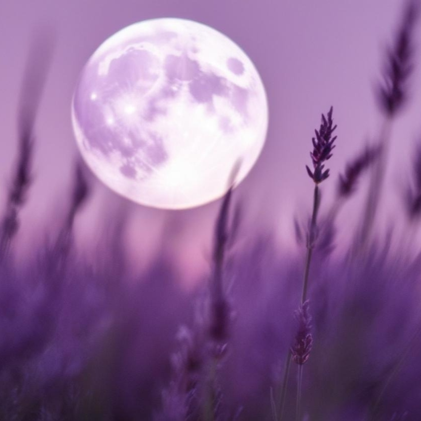 Nuria Claro de Luna médium escribiente