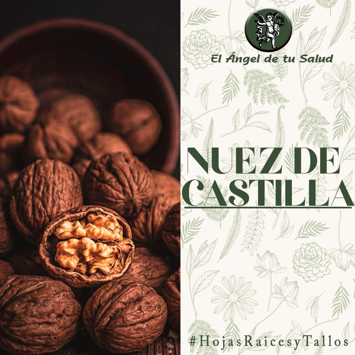 El Ángel de tu Salud - Nuez de Castilla** episode artwork