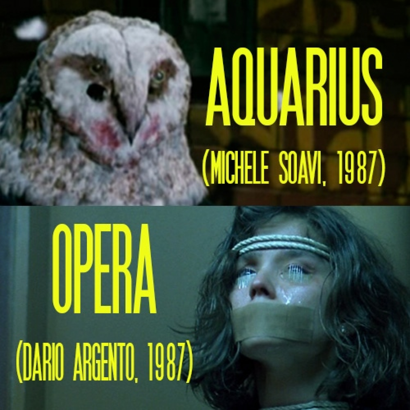 Aguas Turbias
