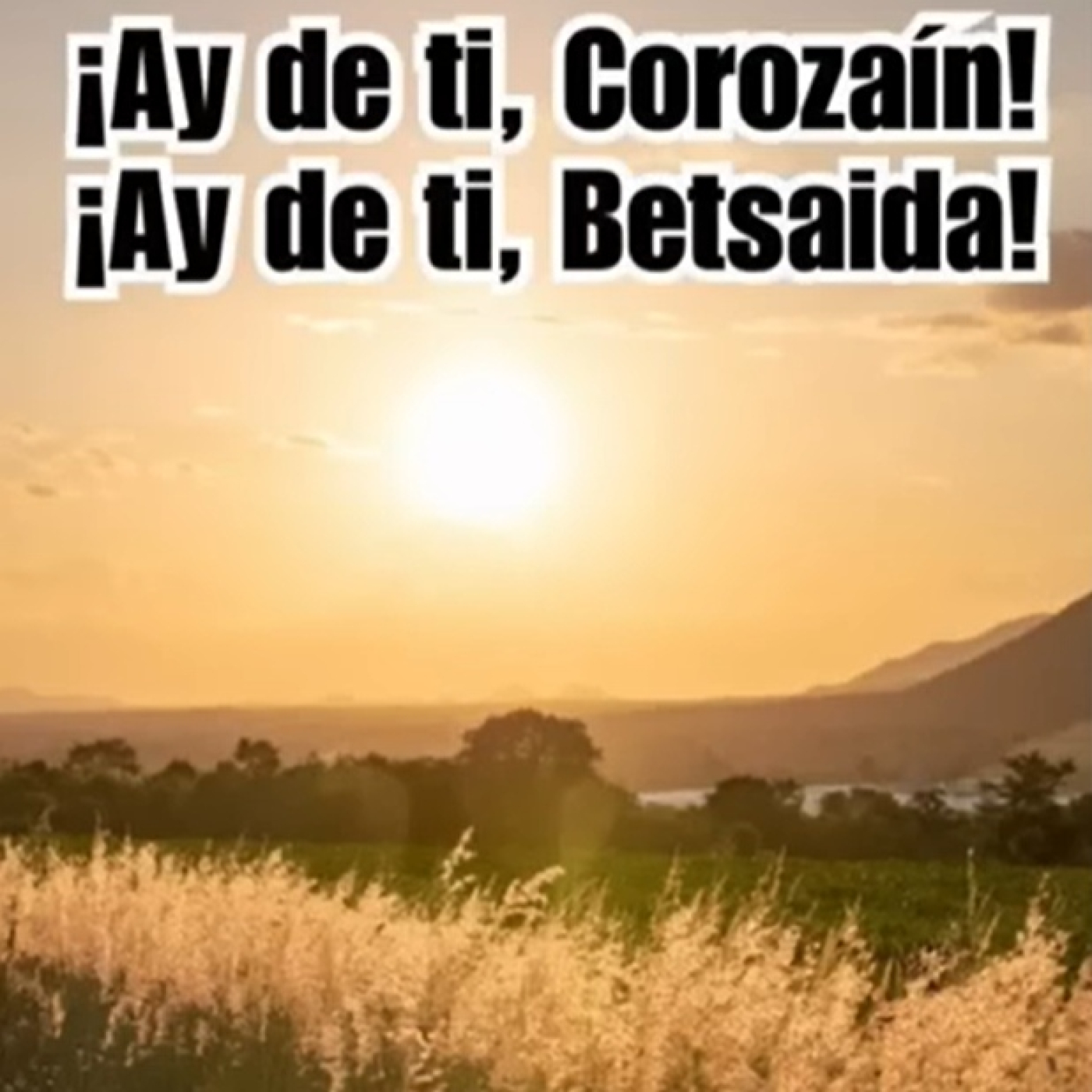 EVANGELIO DE HOY Martes 18 Julio 2023 con el Padre Marcos Galvis episode artwork