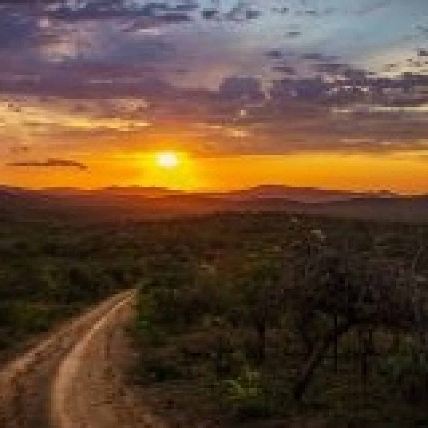 Caminos son...