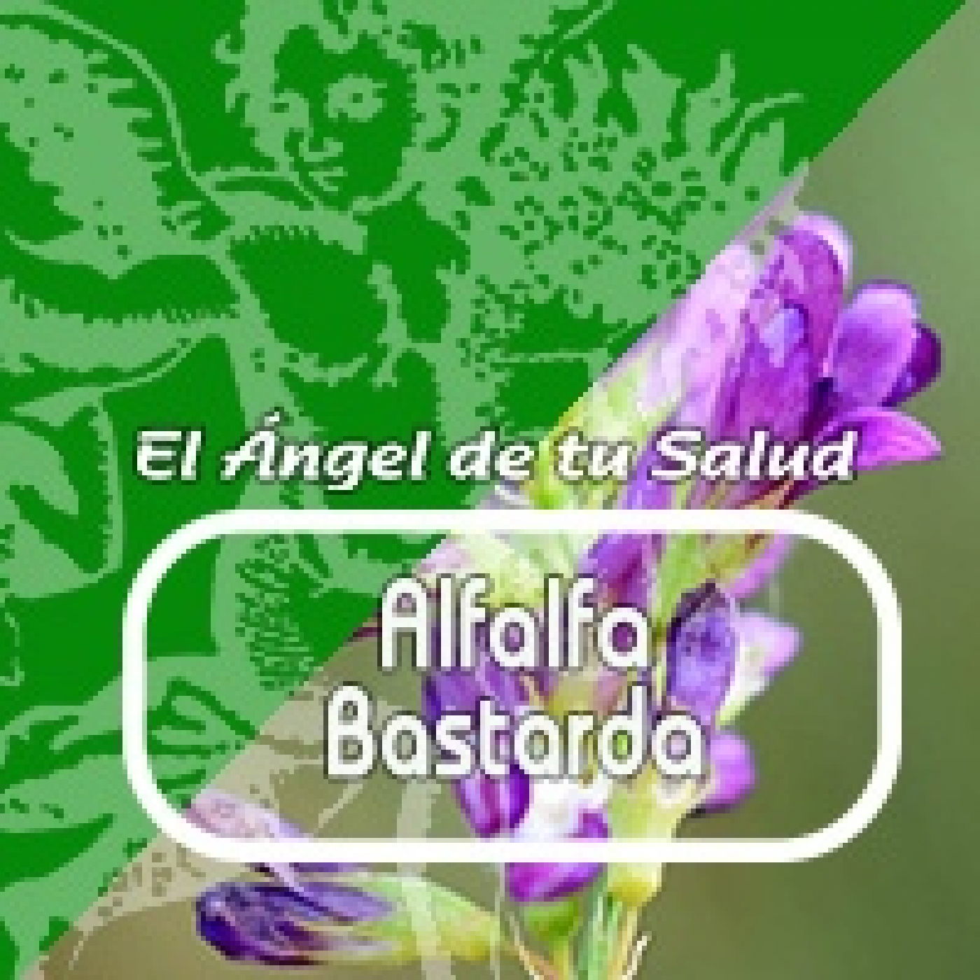 El Ángel de tu Salud - ALFALFA BASTARDA ** episode artwork