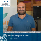Orbivirus emergentes en Europa | Alessio Lorusso