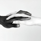 embed image