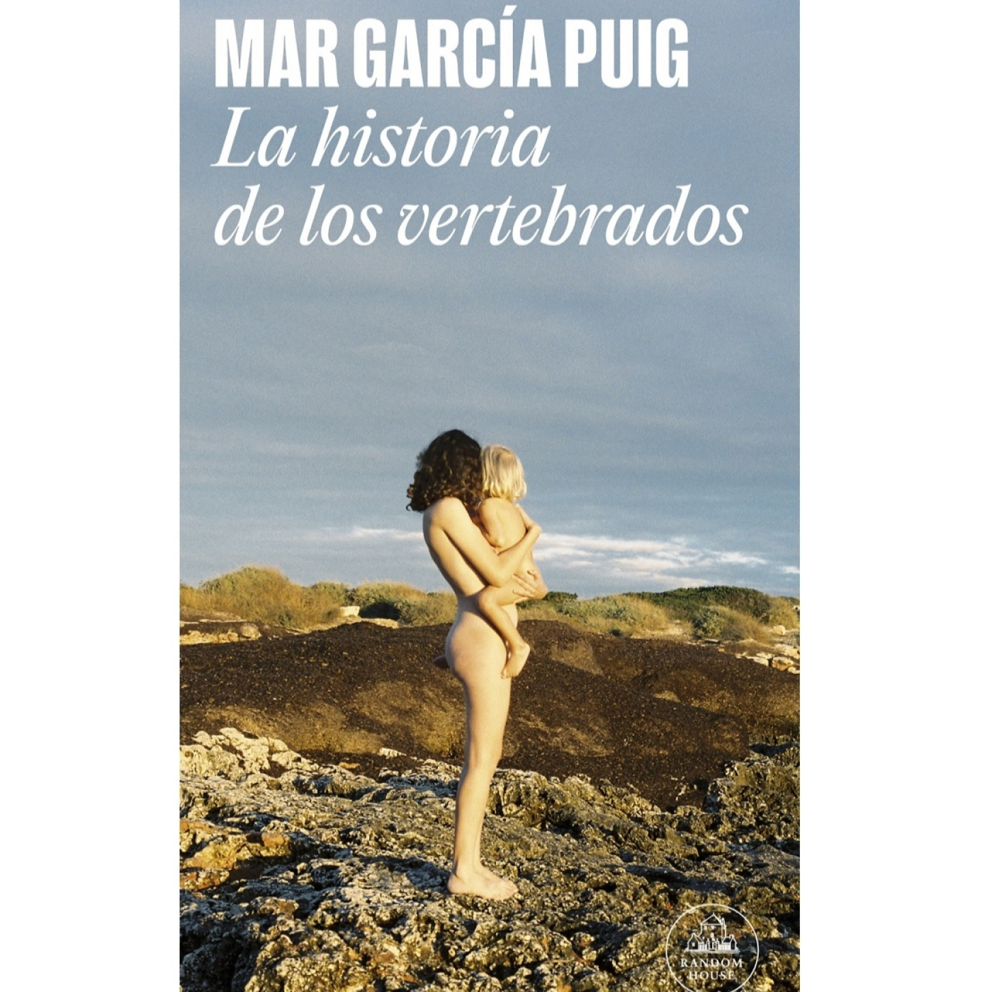 Historias de papel - Manuel Pedraz