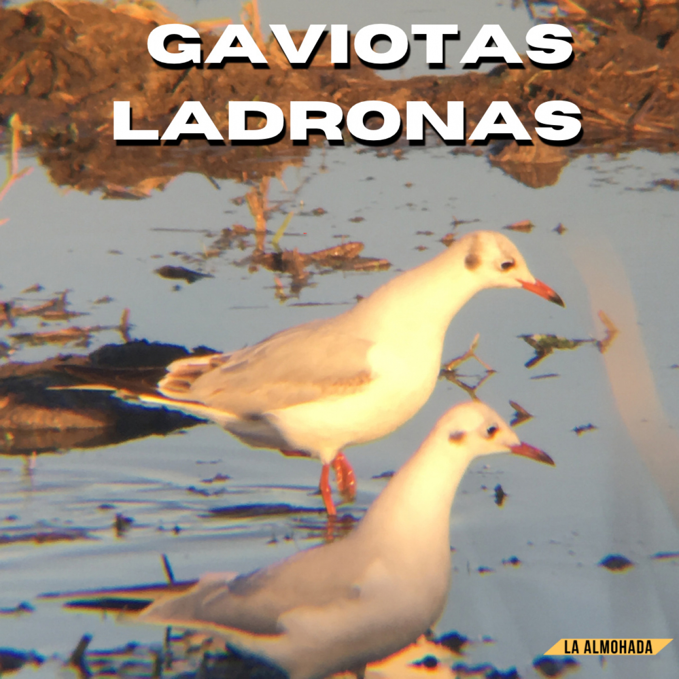 La almohada