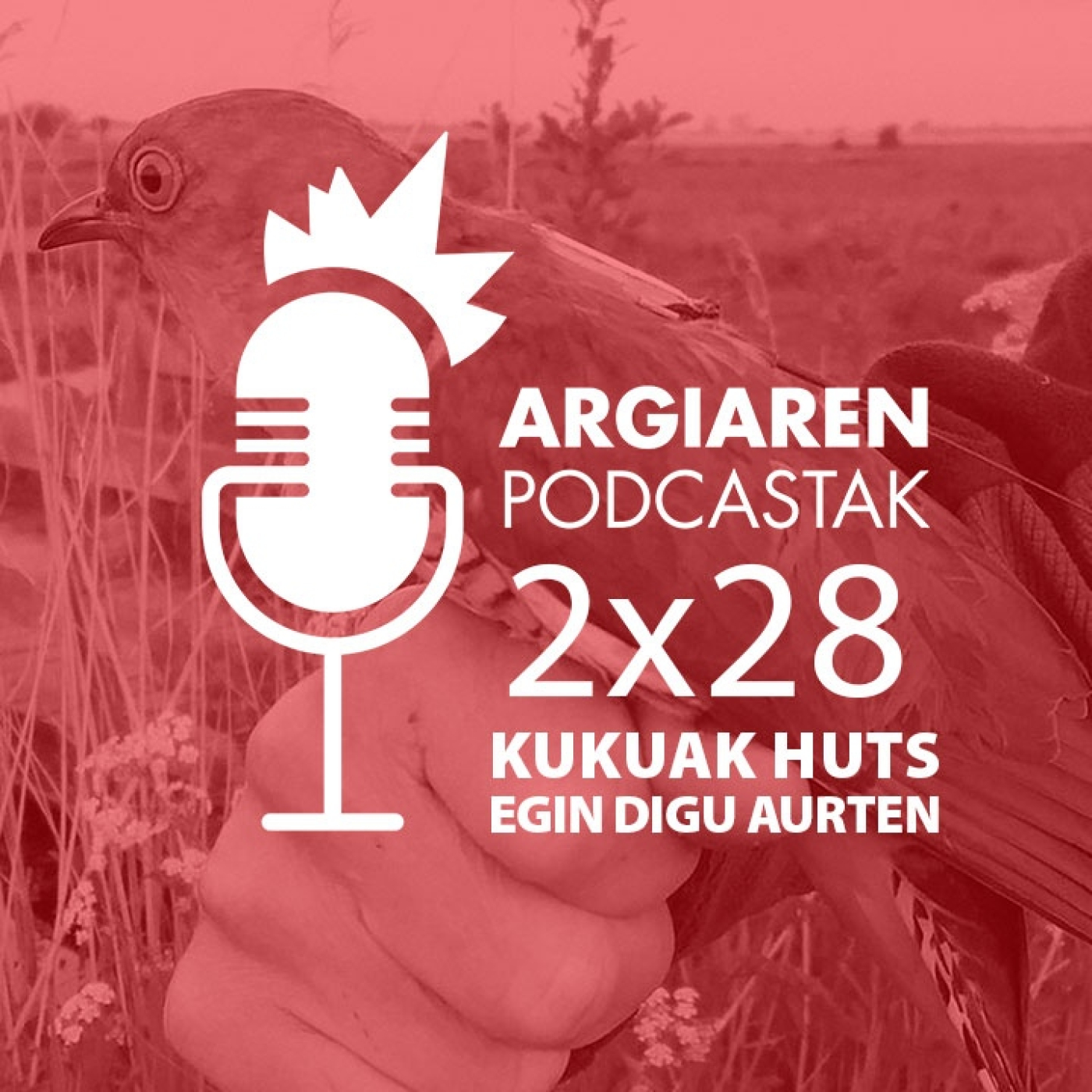 Kukuak huts egin digu aurten: ezin ote dugu ezer egin haren kanta berreskuratzeko? episode artwork