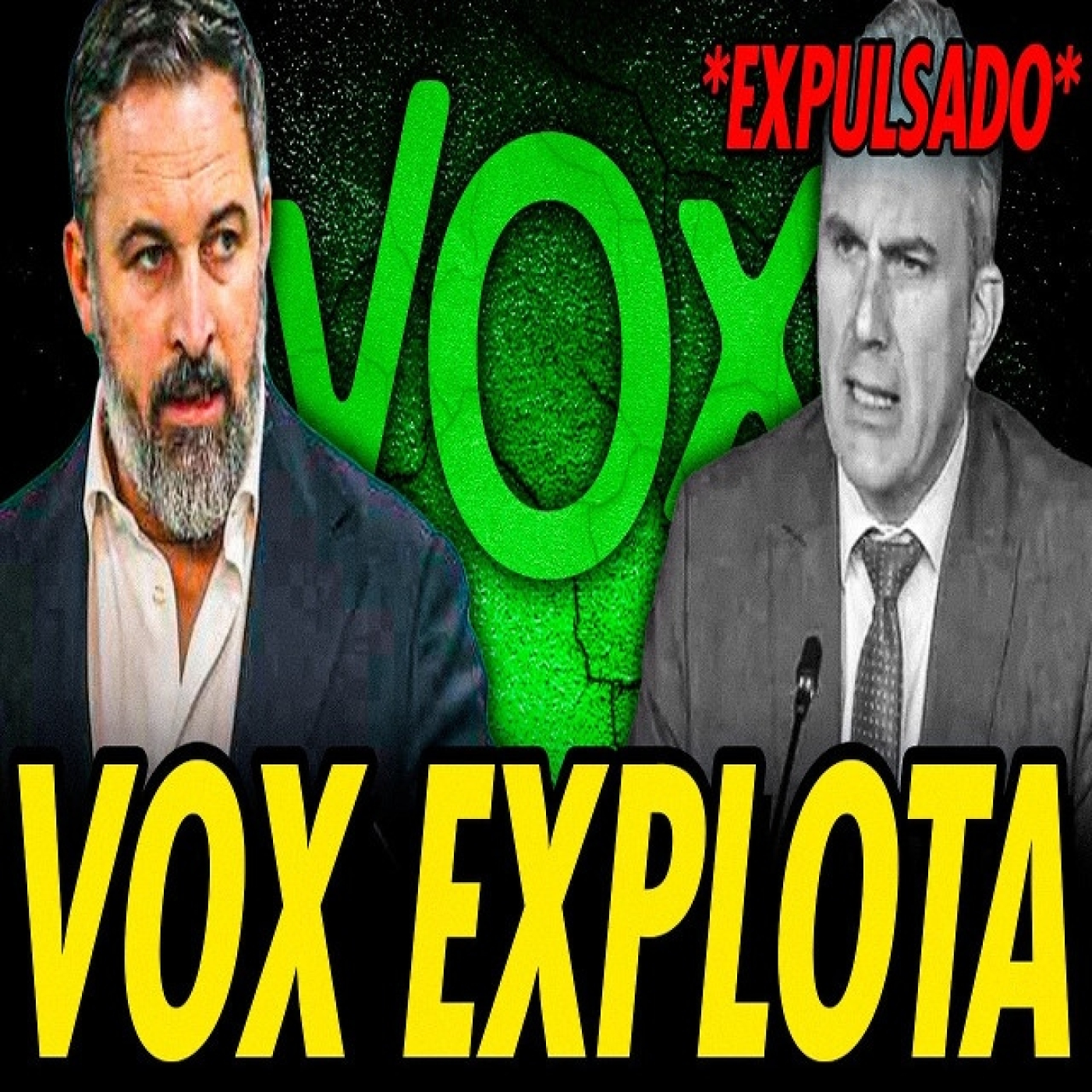 VOX EXPLOTA EN MADRID. EXPULSAN A ORTEGA SMITH, CARLA TOSCANO Y EL PRIMER AFILIADO DEL PARTIDO