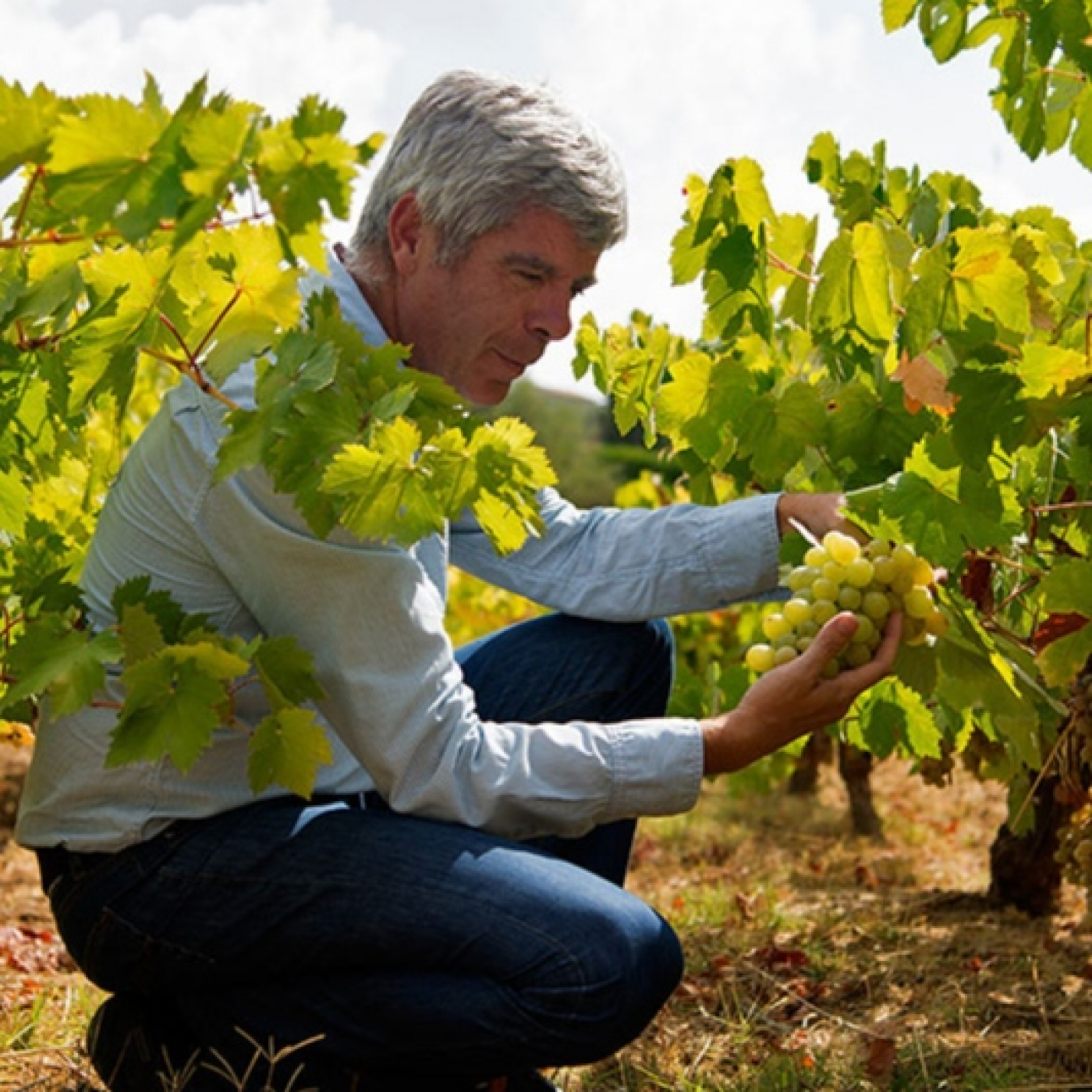 Bodegas Robles