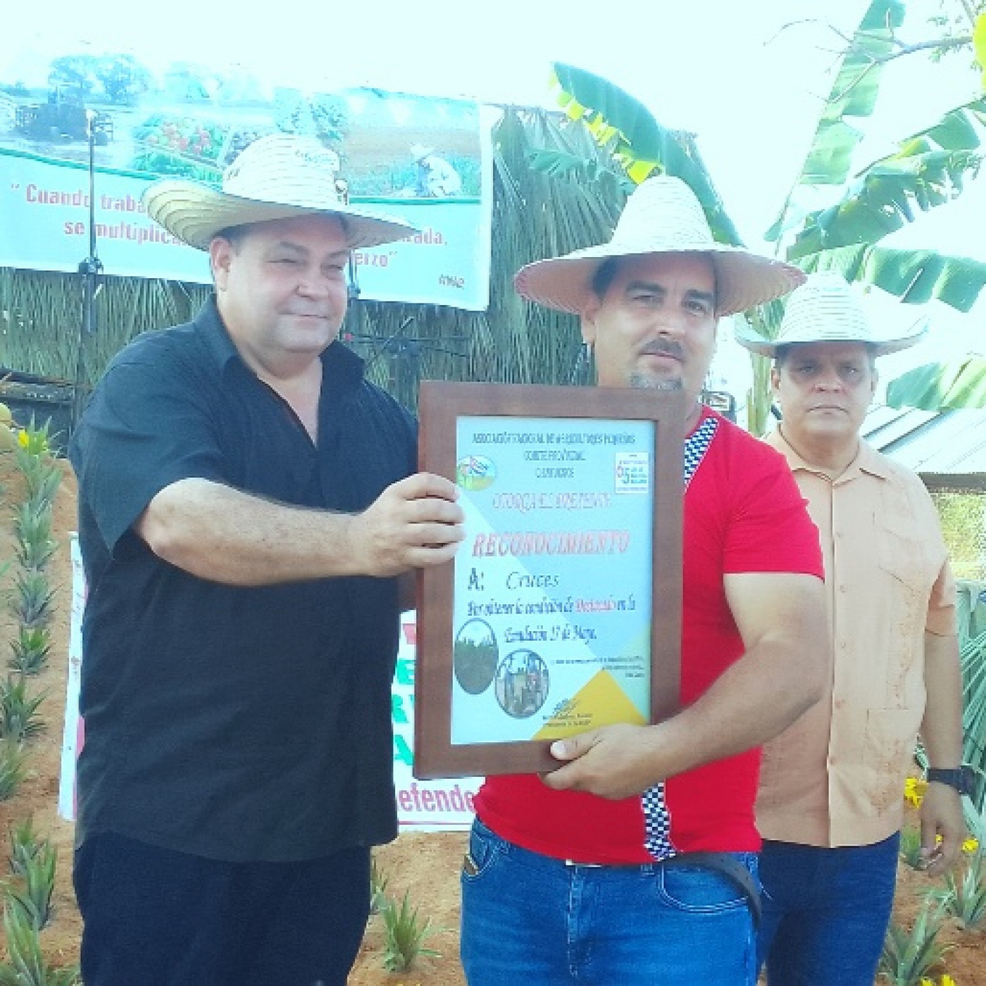 Presidente Nacional de la ANAP reconoce al campesinado de Cienfuegos