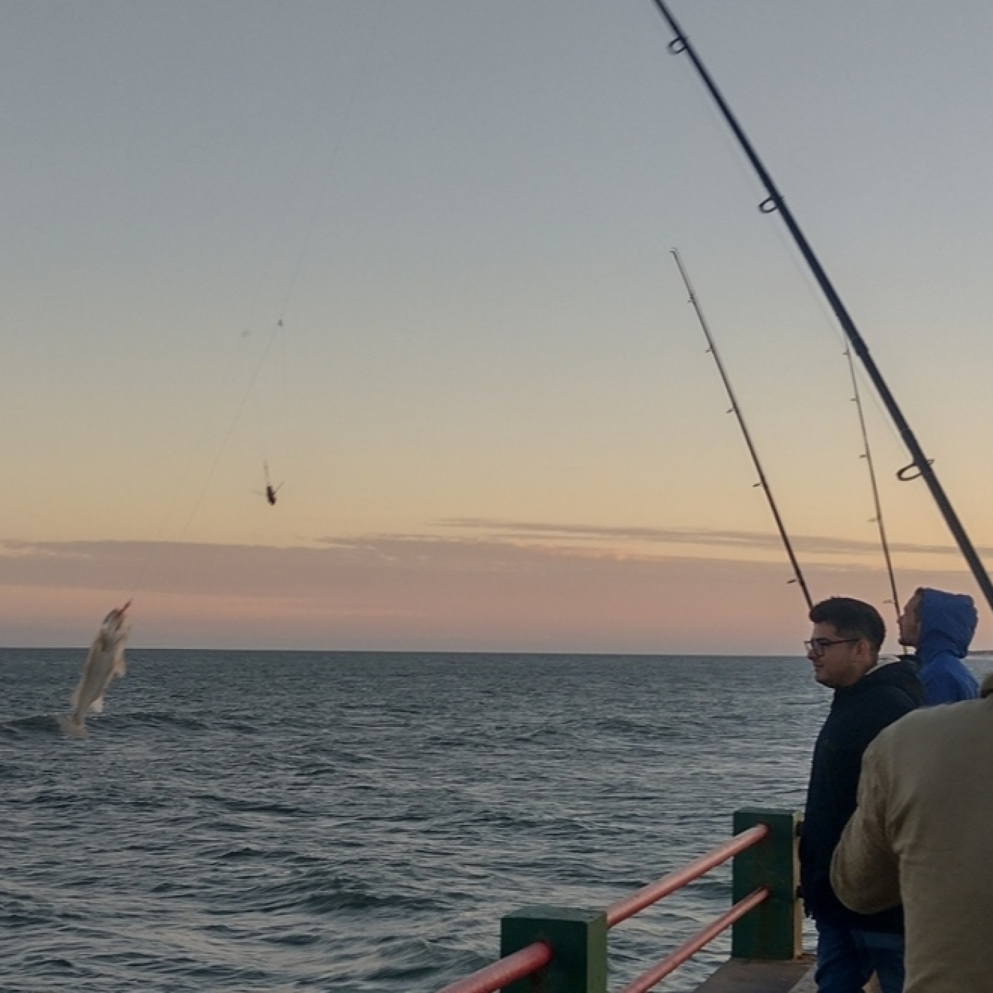 Planeta Pesca