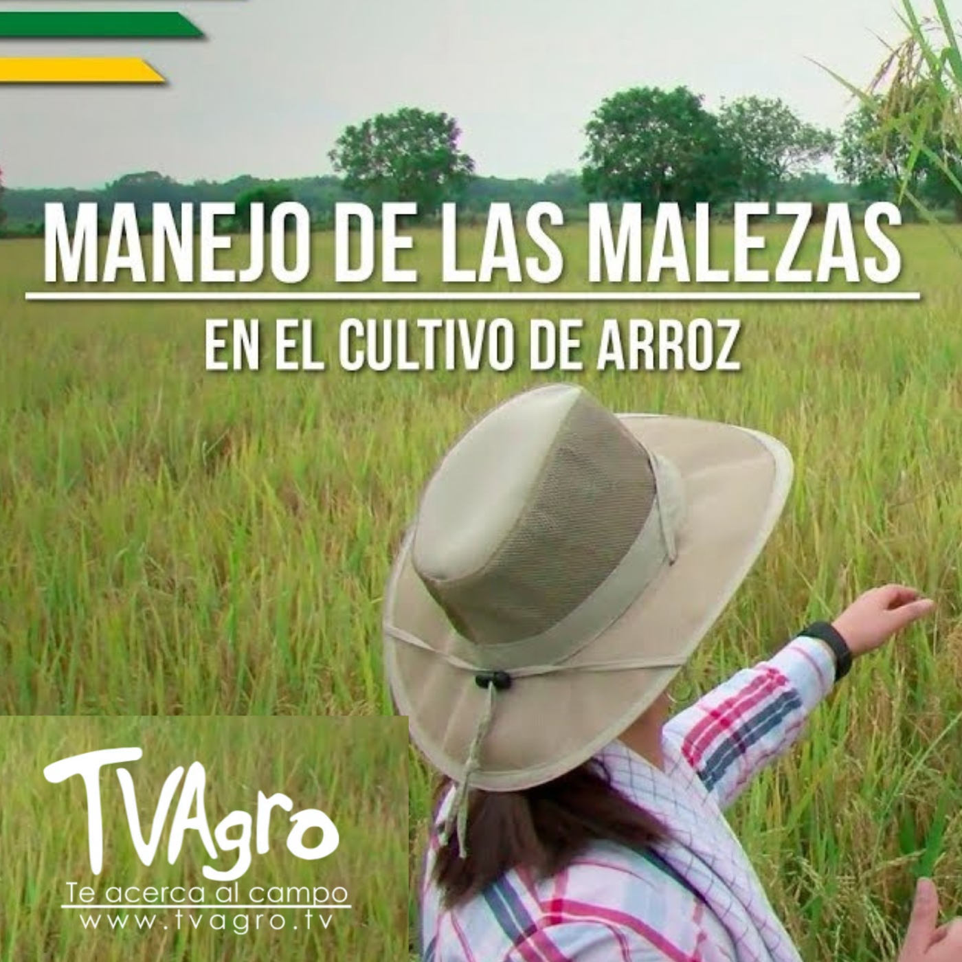 TV AGRO