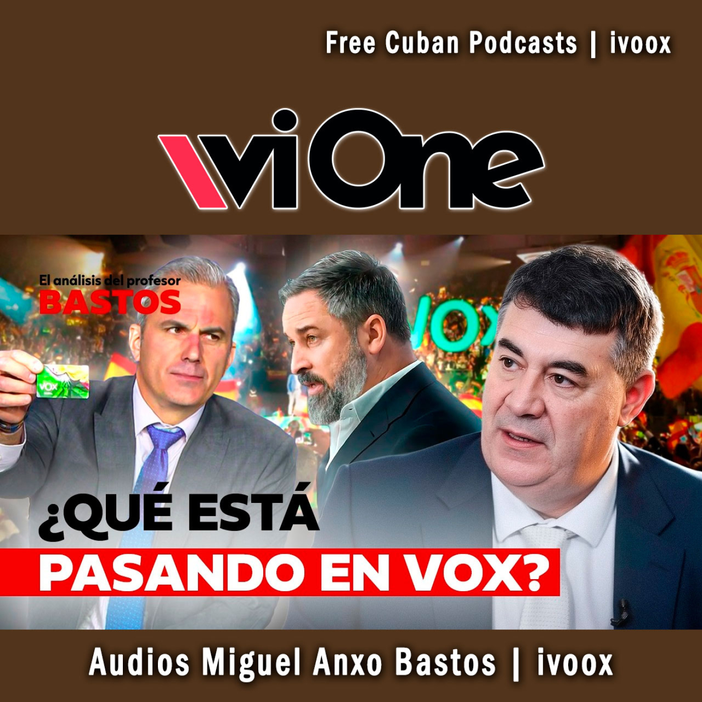 #317 | Miguel Anxo Bastos sobre las disputas en VOX