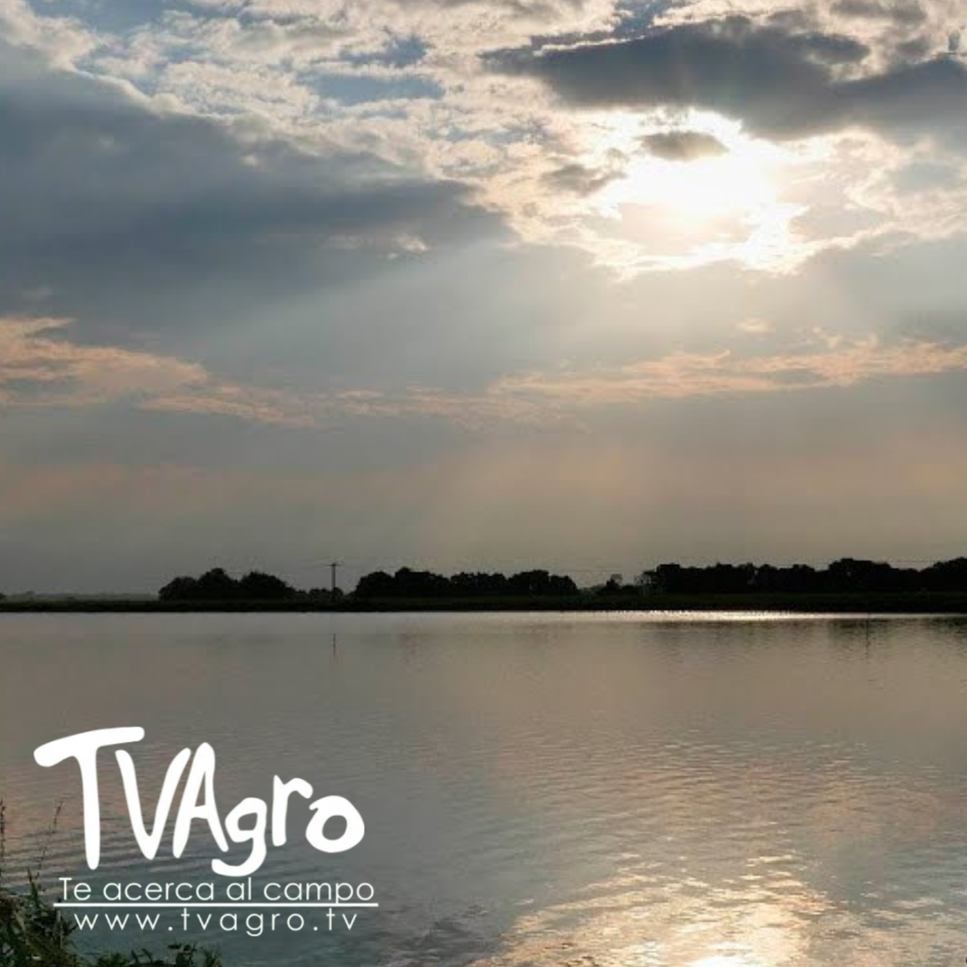 TV AGRO
