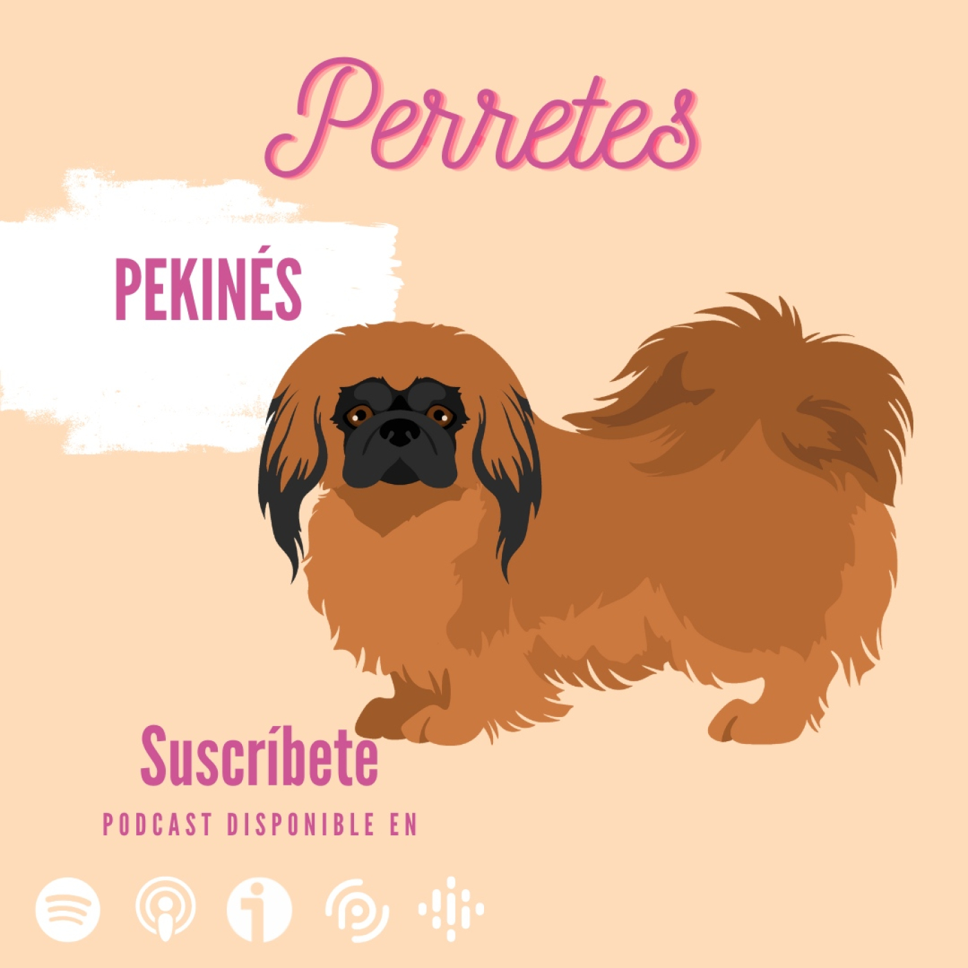 Perretes | Las razas de perros
