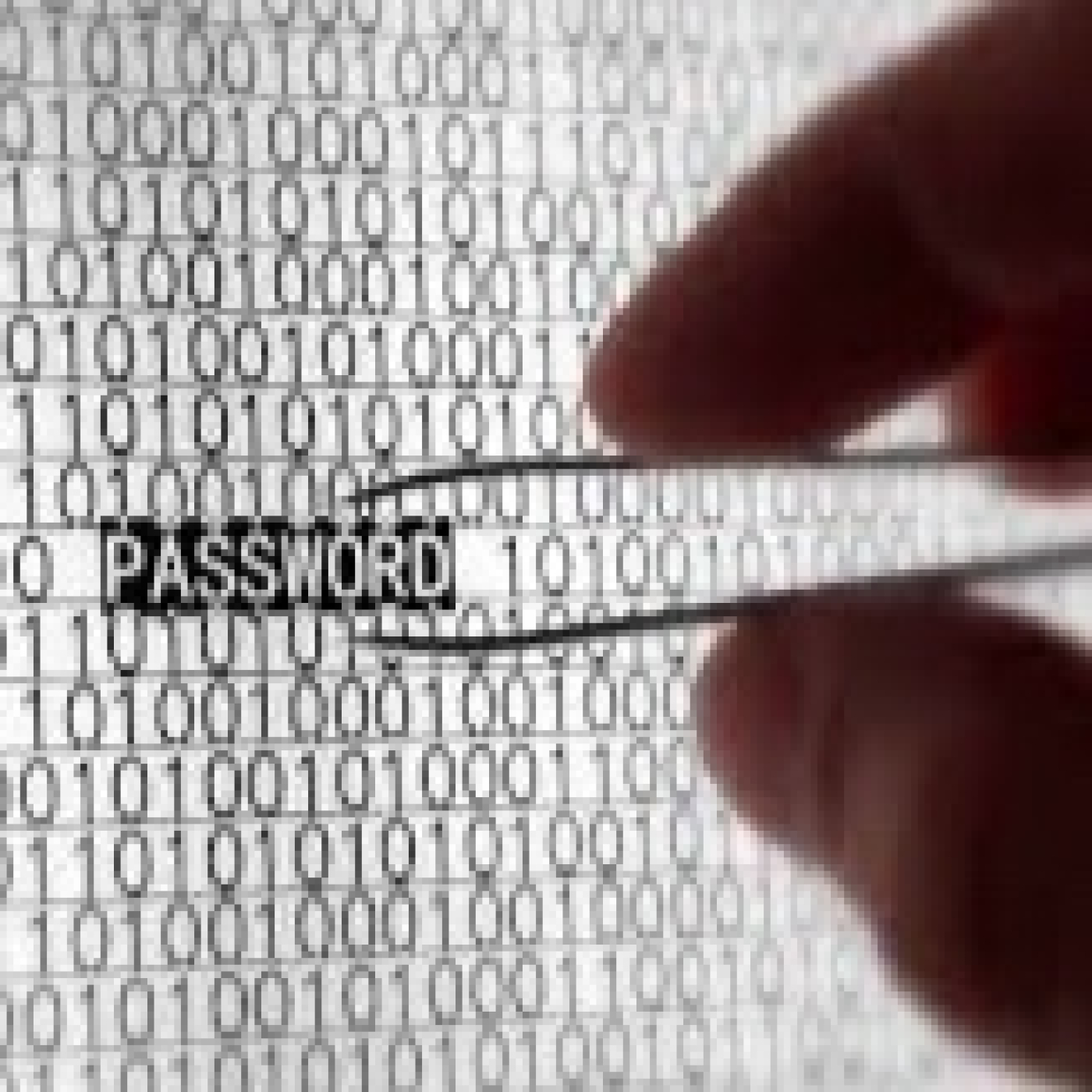 Ciberseguridad para familias