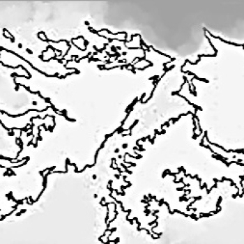 embed image