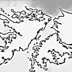 embed image