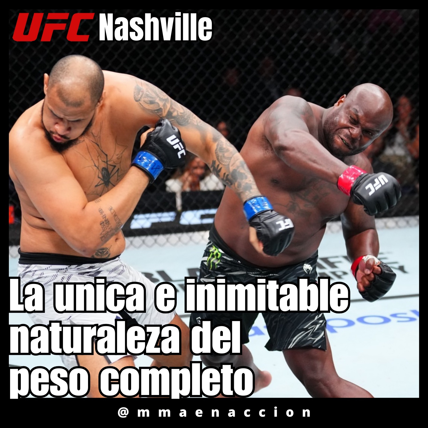 MMA en acción