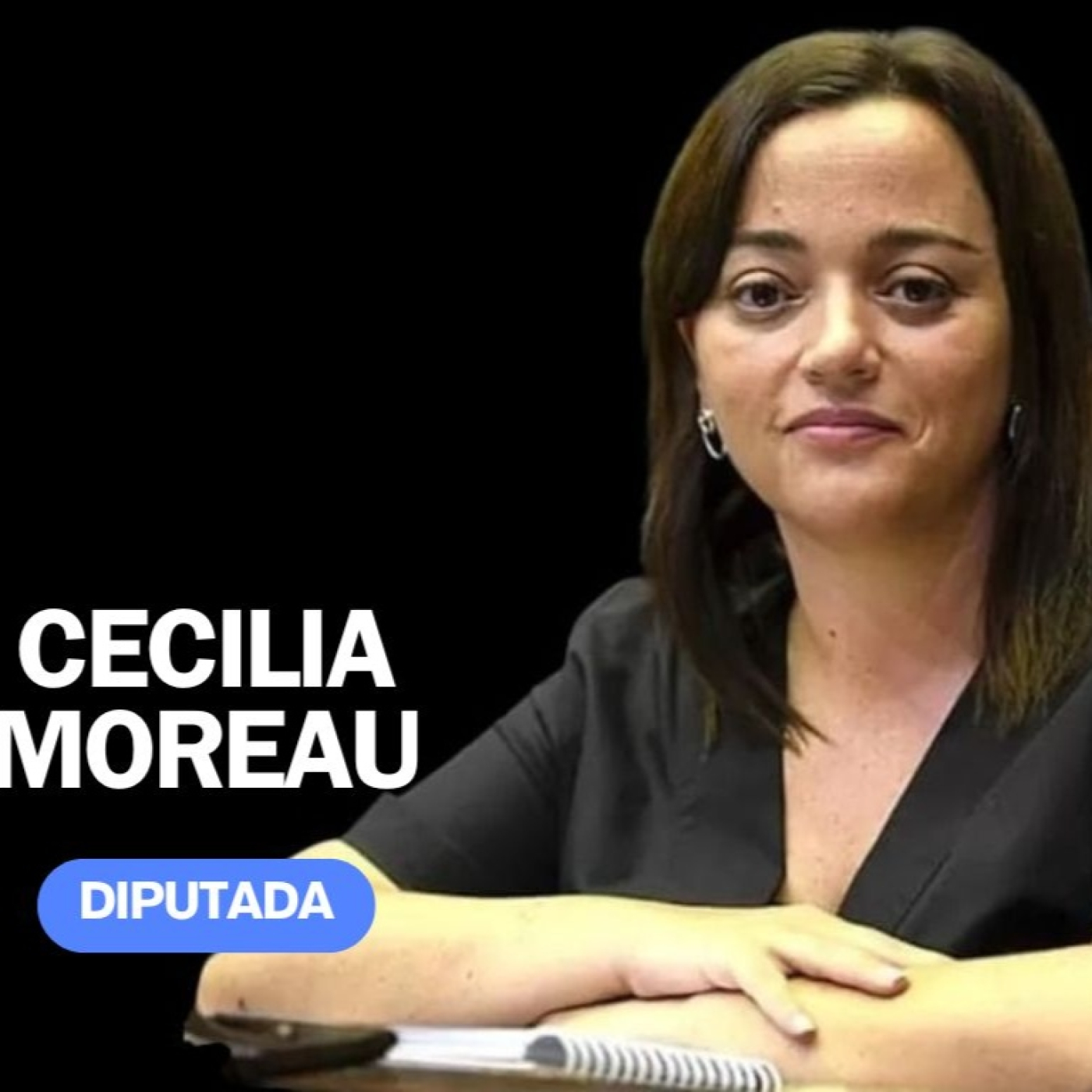 "La única vez que Milei nombró a las PyMEs fue para promocionar la estafa $Libra en sus redes" dice Cecilia Moreau