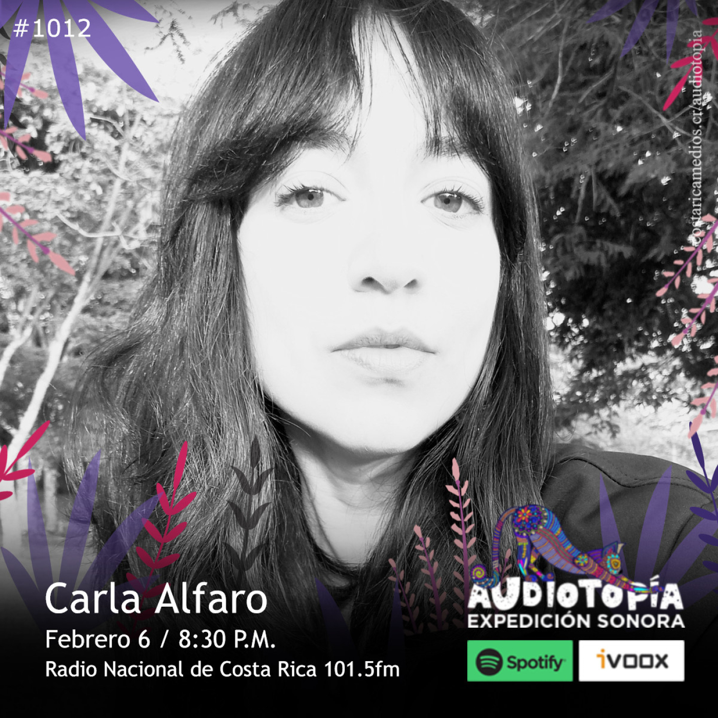 Audiotopía: Expedición Sonora