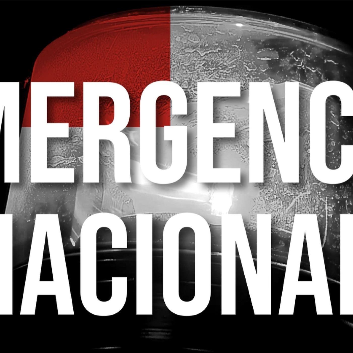 Nos vemos en Primera Fila