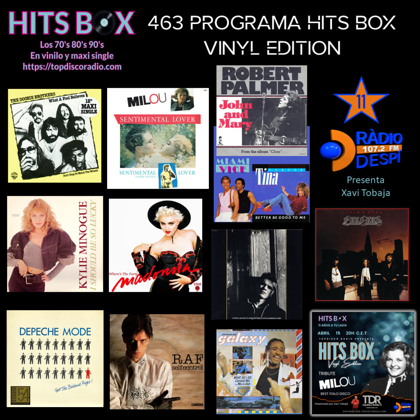 HITS BOX VINYL EDITION - TOPDISCO RADIO