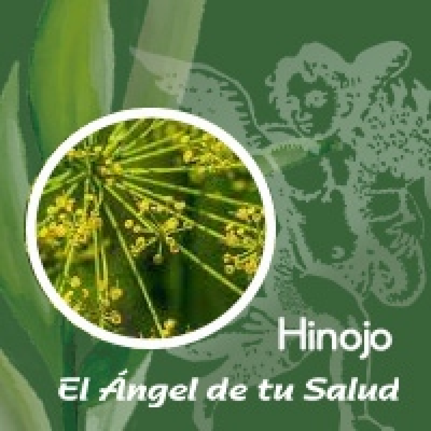 El Ángel de tu Salud - Hinojo** episode artwork